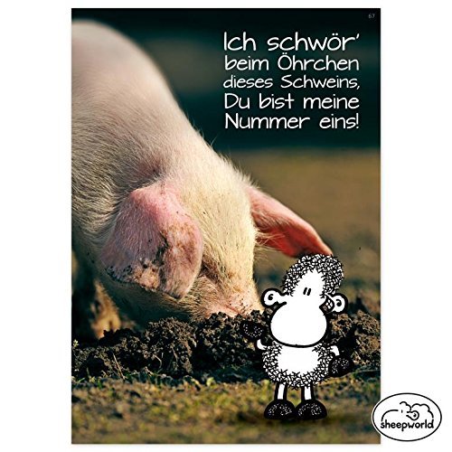Sheepworld - 73436 - Postkarte, Schaf, Hallo Welt, Nr. 67, Du bist meine Nummer eins!